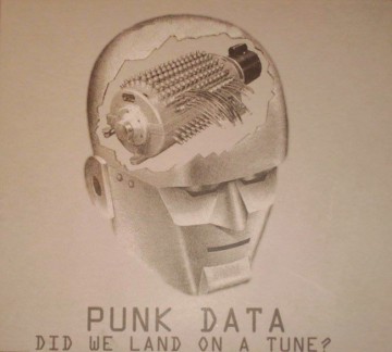 Punk Data 'Did We Land On a Tune?'