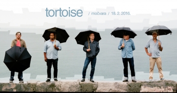 Tortoise