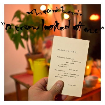 Mount Eerie 'A Crow Looked At Me'