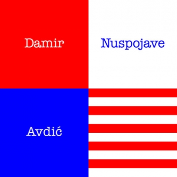 Damir Avdić - Nuspojave
